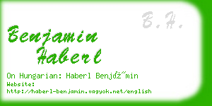 benjamin haberl business card